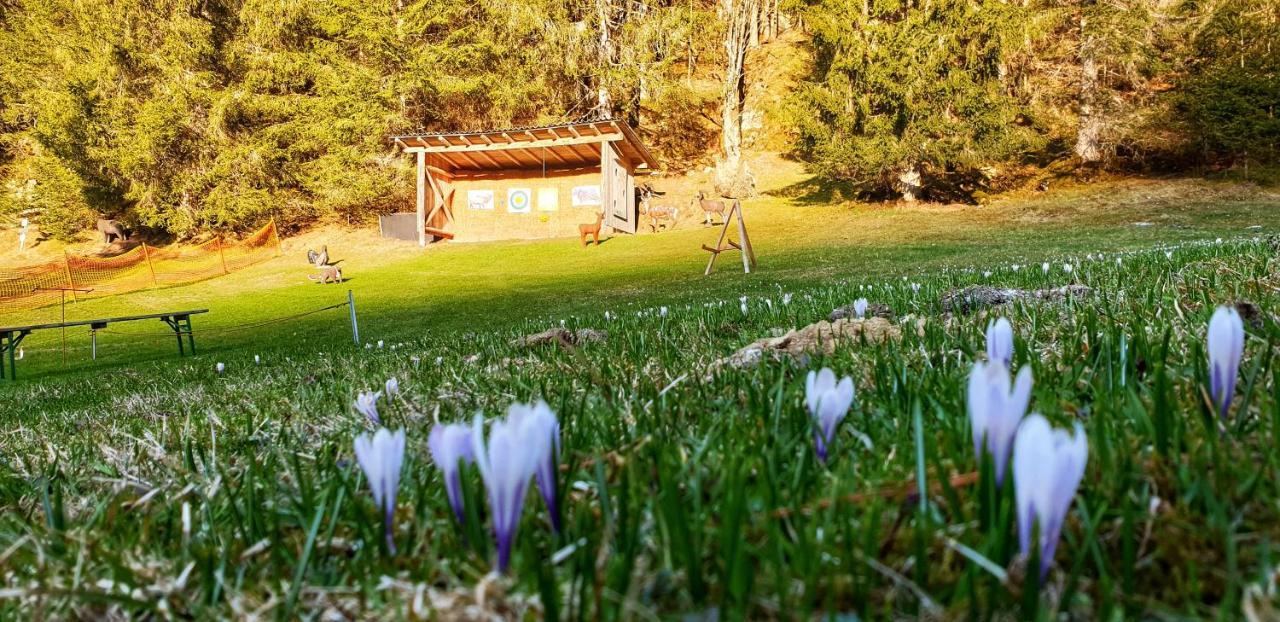 Apartament Schieplechnerhof Schladming Zewnętrze zdjęcie