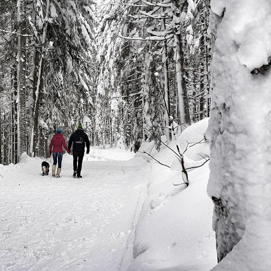 Apartament Schieplechnerhof Schladming Zewnętrze zdjęcie
