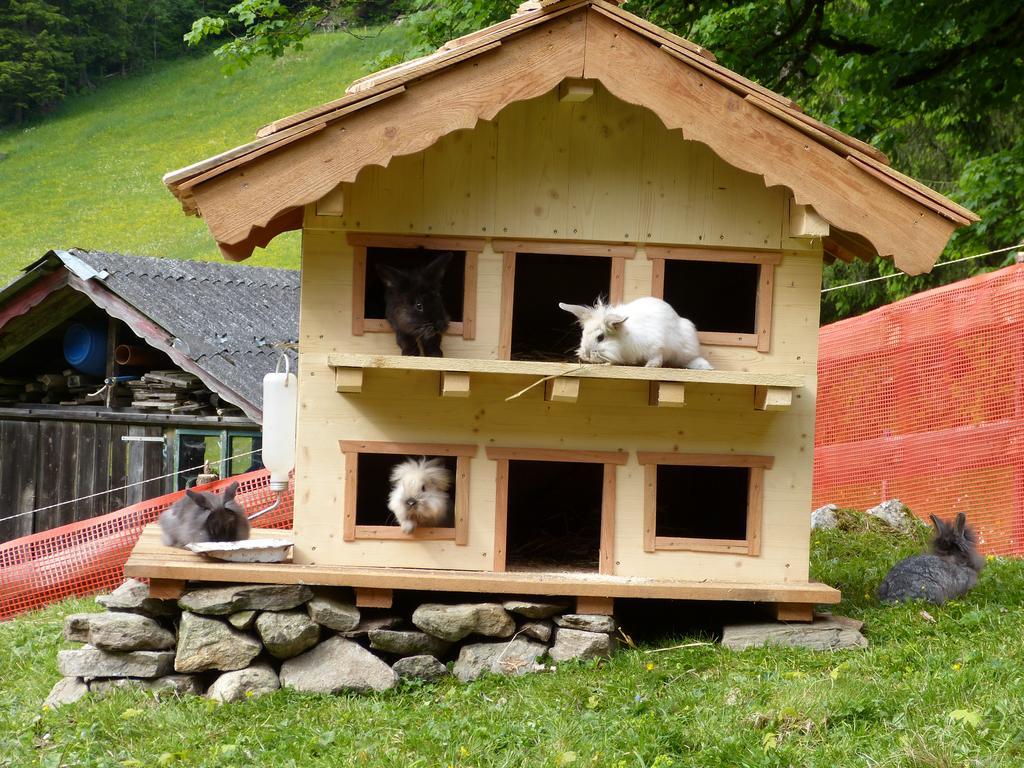 Apartament Schieplechnerhof Schladming Zewnętrze zdjęcie